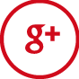 Google+ icon