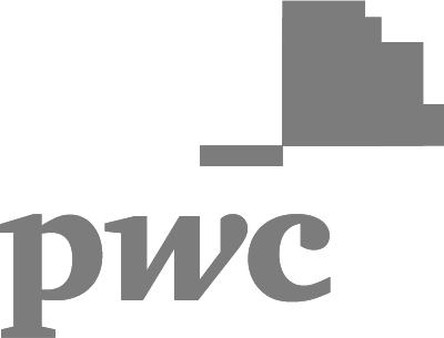 Corporate Video Production Company PWC Grey Logo
