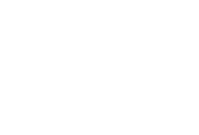 SouthDublinLibraries_WHITE